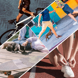 6-Pack Animal-Themed Compression Socks